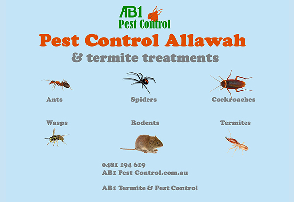Allawah Pest Identification Card