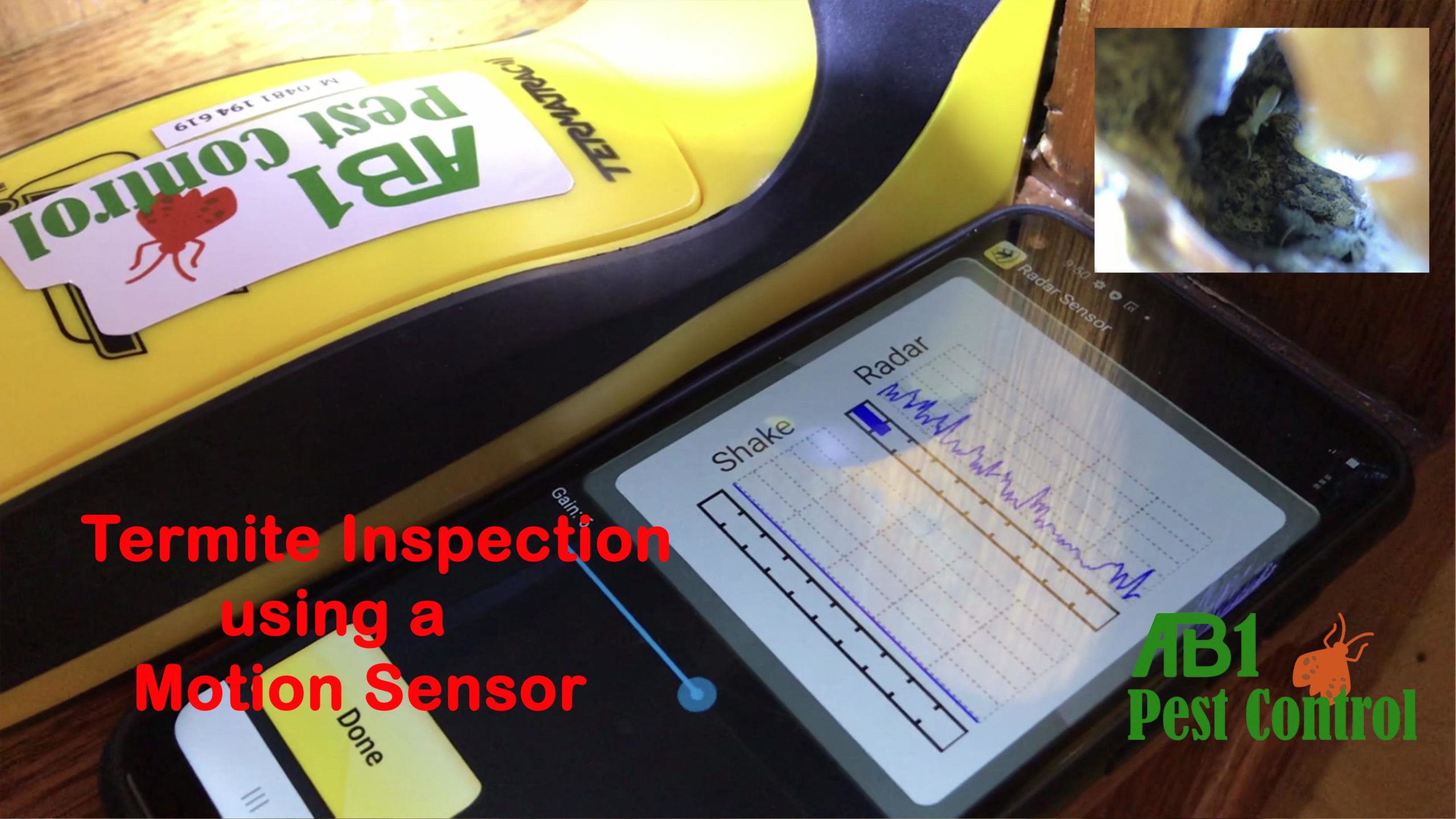 Termite Inspection Georges River
