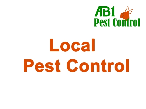 Pest Control St George